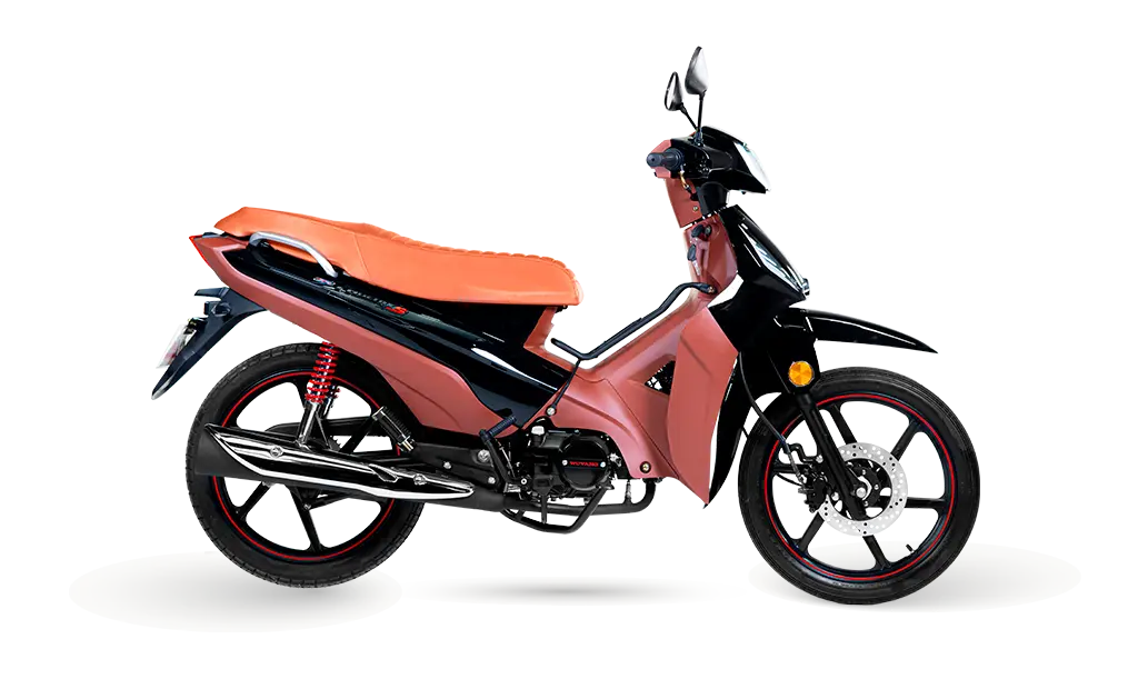 PHOENIX-S-EFI-COR-04-2